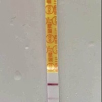 (转载)很淡定的测了金秀儿早早孕居然有明显的一条粉印！😍又换了四种试纸都有印，就是大卫是意念灰，...