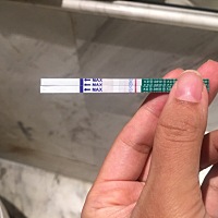 这个是怀孕了？