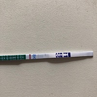 早上起来侧的，大家帮我看一下是有了吗？颜色好浅，测试几天都是好浅，什么原因啊？好慌慌的