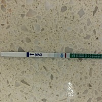 快来帮帮我，末次月经七月一号，这样是怀孕了吗？