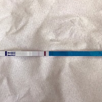 末次月经7月8号，8月延后一周验不明显，心里总是不确定到底怀没怀，除了有一点小乏，其他什么反应都没有...