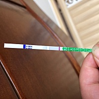 月经都推迟五天了，要闹哪样，身体感觉那么像怀孕腰都酸十天了，你好歹给个意念灰啊