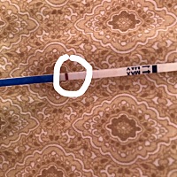 大家帮我看看是怀孕了吗不会是诈胡吧
