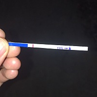 12号排卵同房，体温一直持续在37度左右，刚才测是白板，哎，是不是这个月就失败了