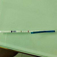 刚刚测的是怀孕了吗，排卵期8月14