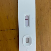 请问这是怀孕了吗