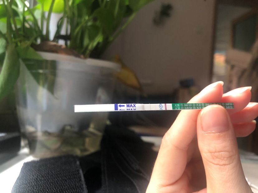 意念灰吗？ 看了无数次了 还有两天姨妈日，w