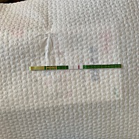 刚刚没忍住，上次买的试纸用完了，又跑了趟药店，前天还是白板，今天就有印了，马上给老公打了个电话，...