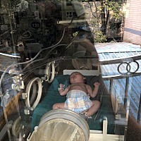 孩子快四十天了 就回家呆了十天 前期出生在医院住了五天又黄疸高直接送入新生儿病房住了八天 回来十天又...