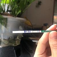 预计8月26日姨妈日，一图为24日测早孕意念灰 二图为25晚上早上测排卵试纸阳性，煎熬 刚好喉咙有点发炎 ...