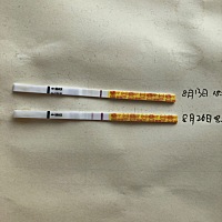 下面那条今天早上测的早孕，排卵后第13天，颜色淡会不会质量不好啊，好担心，因为之前有过一次发育不好...
