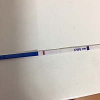 24号测，白板，这是刚刚测的，有吗？？？各位宝妈