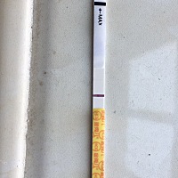 姐妹们，我上个月经是26号来，末次是31号，前两天测是白板，今天早上刚测的时候看不到，中午回去就看到...