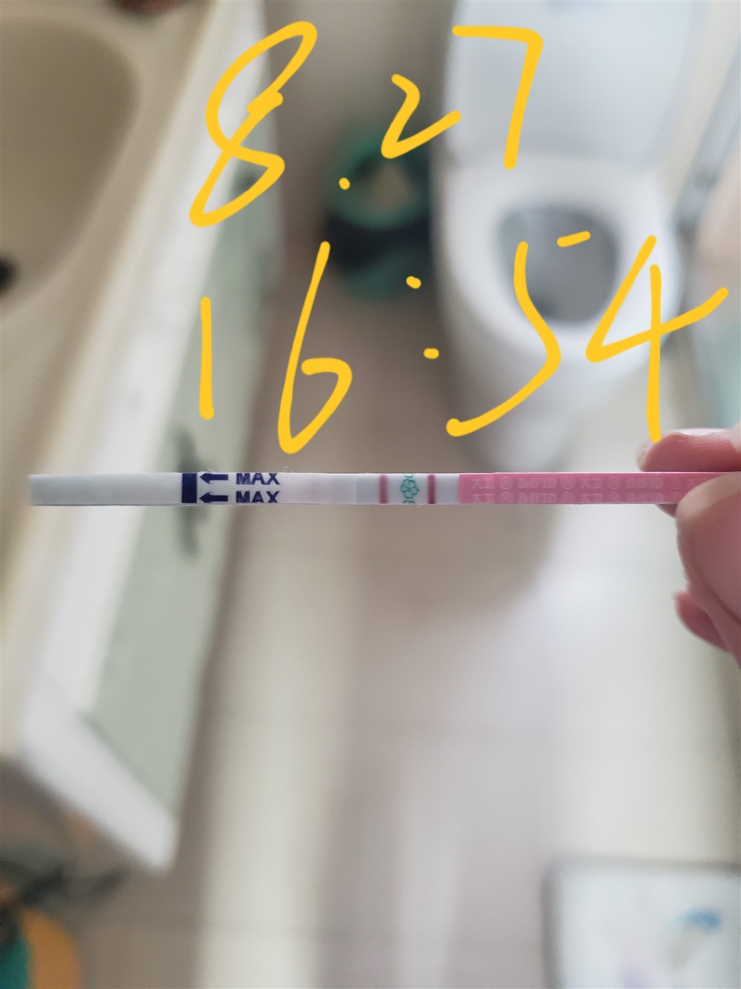 这是已经排卵了吗