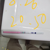 这是已经排卵了吗