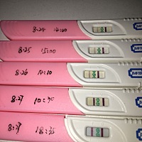 这是排卵了吗？强阳一天不到就变淡了点点，大神们怎么看，能给个建议嘛