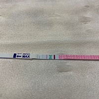 末次8.19，8月27号排卵试纸如下图，等待排卵中