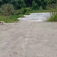 没来我老公家之前他爸说他们村委会修的少漂亮的广场 满地都是这样的大虫子 家里经常爬进来 我坐在床...
