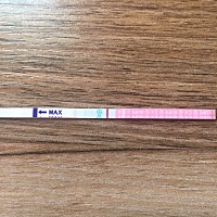 排卵期第二天