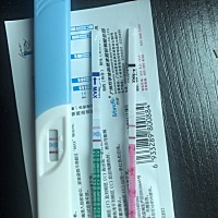 今天早上继续测试，测了三次，三种试纸，简直不敢相信，真的怀了吗？