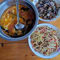 我老公说他妈妈做饭很好吃 这是我来他家吃得最好的饭菜了 但是我不懂的是番茄鸡蛋汤里加大豆的叶子干什...