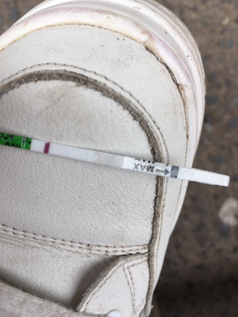九月一号的晨尿