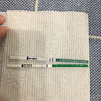 七月份说这两个月开始备孕，刚测的，这是中了吗?