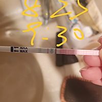 27日强阳排卵后，到9月2日这还是弱阳吗