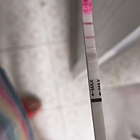 今天已经是月经第一天吧，但是测排卵纸已经红成阳了