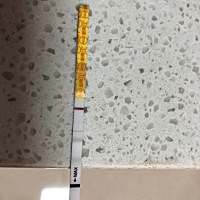 26号排卵～这几天感觉腰疼 胃有点发恶心 内裤分泌物多 就测着玩 能看到很浅的一道 这个是怀孕了吗