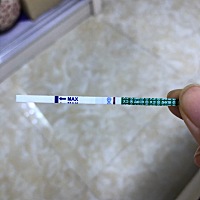 亲爱的们，请问这是有还是没有啊？已经捉摸不定了