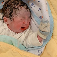 生了，🐷弟弟乔治一枚，3190克。b超没有翻盘，如愿了[呲牙] 幸亏提前剖了，医生说我的子宫壁已经...