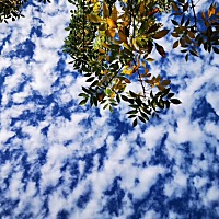 要说公婆，那得从我和我老公说起，大二开始和老公处对象，那时候还没见过公婆，等到了大三，老公开...