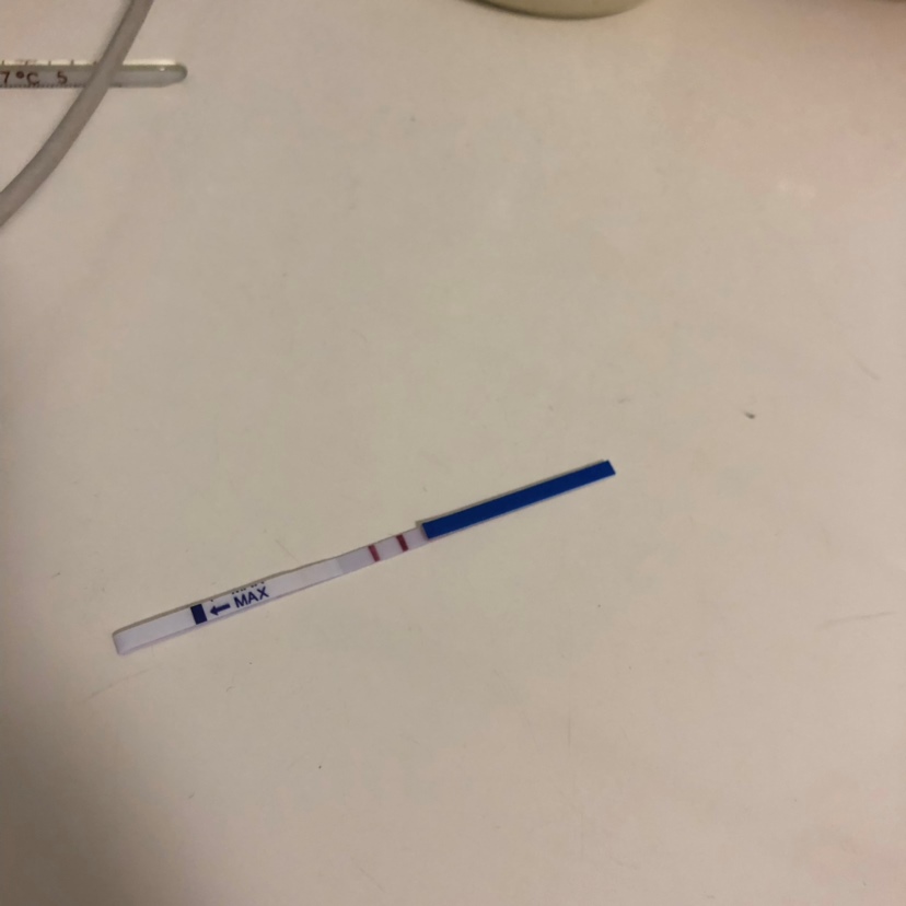 第十一天