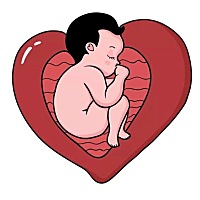 母乳哺育 母乳哺育不仅仅是给孩子营养 在生命初期孩子不仅需要等到营养满足自己的生长，还需要更多的爱...
