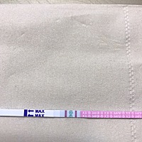 姐妹们，这是要排卵了吗？