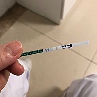 8.15号月经期，这是怀了么
