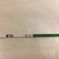 欧格测的排卵，上月3号来得例假，例假一直推迟，今天白带拉丝了，测了下，是不是早排了？ 补充说明下：8...
