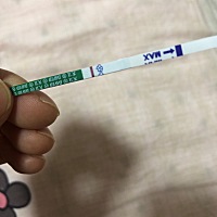 亮的毫无悬念……凉凉～