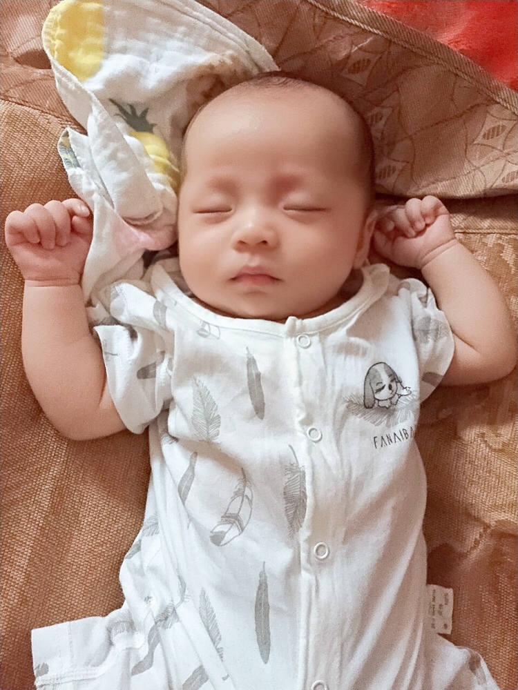睡得香香的😄