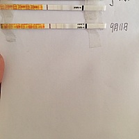 末次月经开始时间8月16.结束日期8月22，9月1号~2号排卵，9月10号测出怀孕