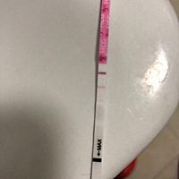 親們，幫我看看是不是懷孕了呀，可是距離上次月經來還差五天呢，頭暈，貧血嚴重倒了一下才測了一下，就...