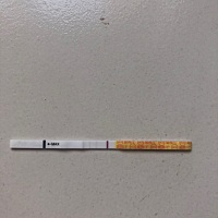 请问这是有了吗，