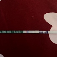 宝宝，你去哪了，前几天你明明在的呀💔