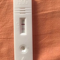 上个月15号例假，29号排卵，今天早晨刚刚测的，有还是没有呀！