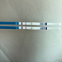 末次月经8月9号 早上测早早孕很明显了。