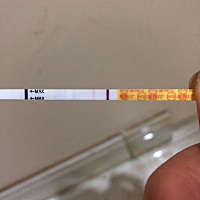 这是怀孕了吗？