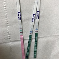 本来今天该来例假了，但是没来，今晚测的排卵试纸阳性，早孕试纸阴性。看来还是没希望了。唉，连续三个...