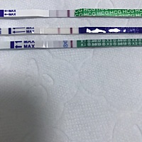 app记录9月6号排卵，今天晚上用三种品牌的试纸测的，怀孕了吗？