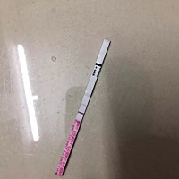 内膜薄，除了吃药，有其他食材可以补吗？备孕几个月都没成功，说是可能是内膜薄的原因，现在测了金.秀....